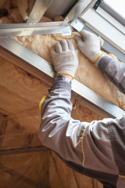 Best Attic Insulation Installation  in Dakota City, NE