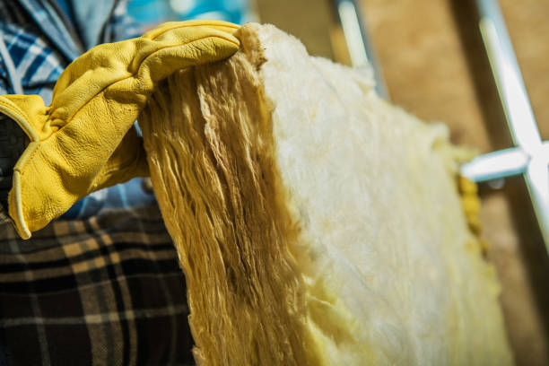 Best Spray Foam Insulation  in Dakota City, NE