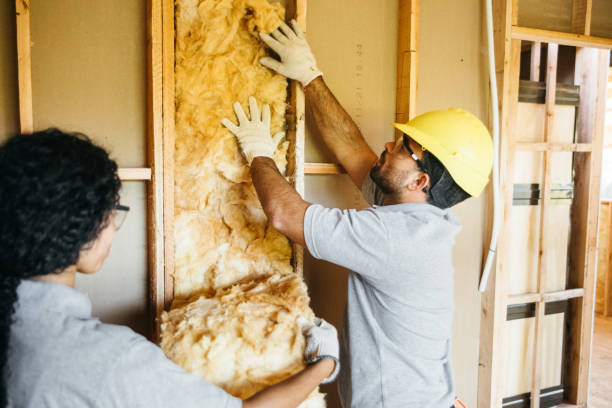 Best Insulation Inspection Services  in Dakota City, NE