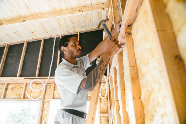 Best Insulation Contractors for Homes  in Dakota City, NE