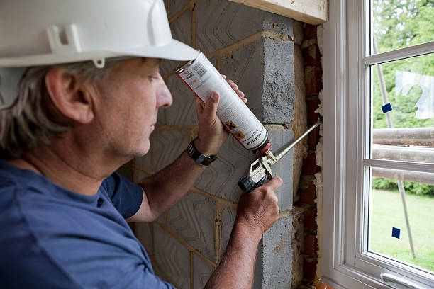 Best Wall Insulation Contractor  in Dakota City, NE