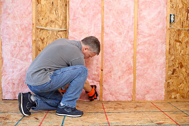 Best Soundproof Insulation Installation  in Dakota City, NE