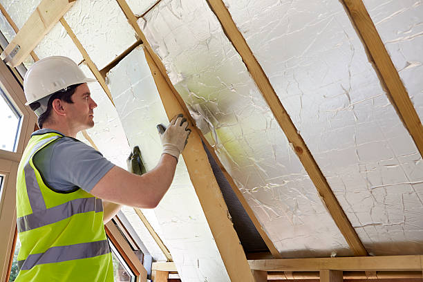 Best Blown-in Insulation  in Dakota City, NE