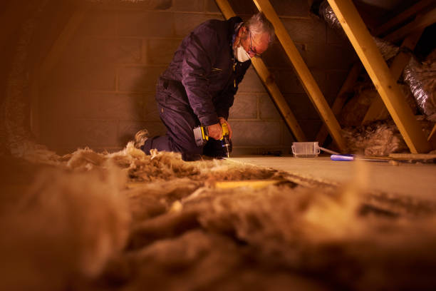 Best Attic Insulation Installation  in Dakota City, NE